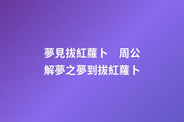 夢見拔紅蘿卜　周公解夢之夢到拔紅蘿卜